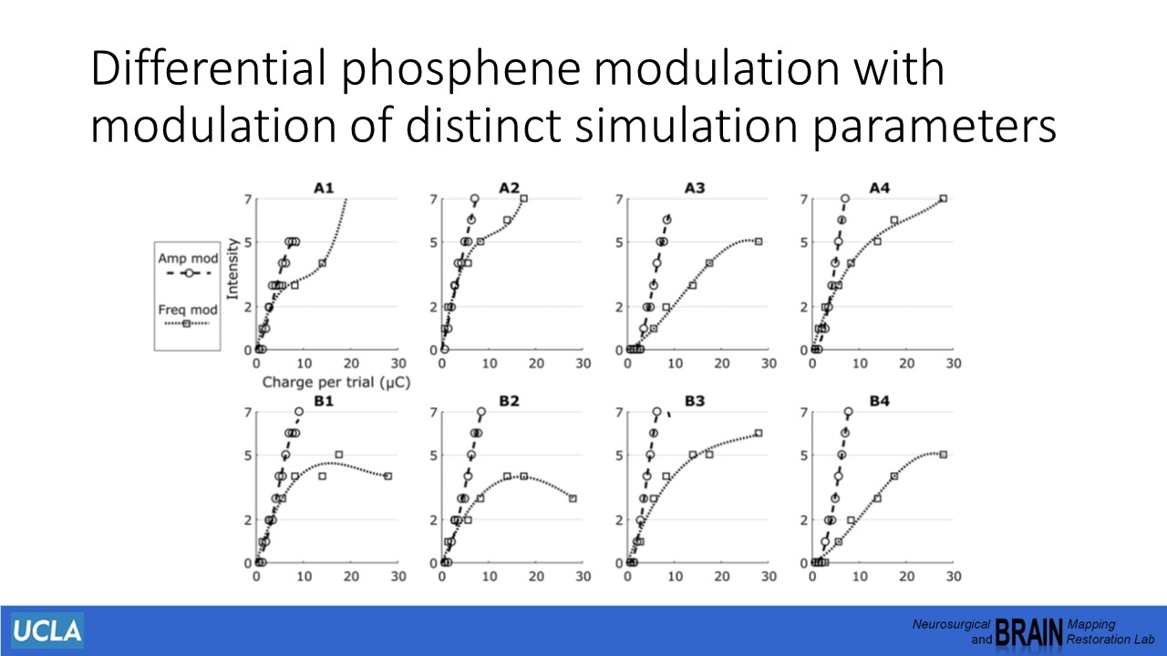 Slide 10